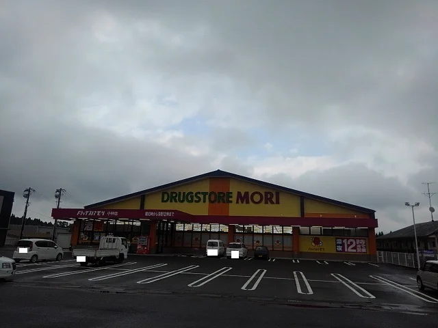 ドラッグストアモリ小林店まで1900m