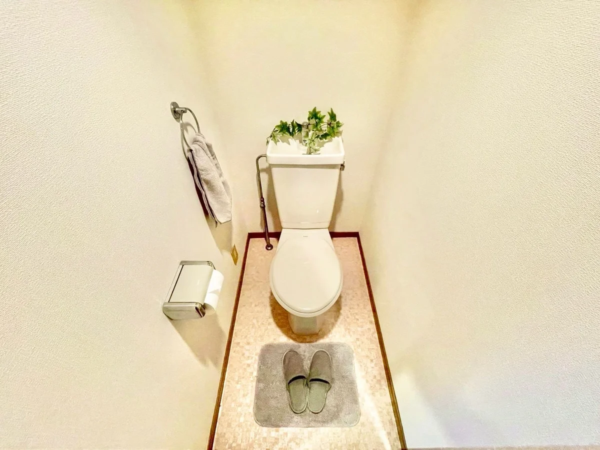 ※撮影用の観察植物・食器調理器具・雑貨類等はございません。※写真は現況優先