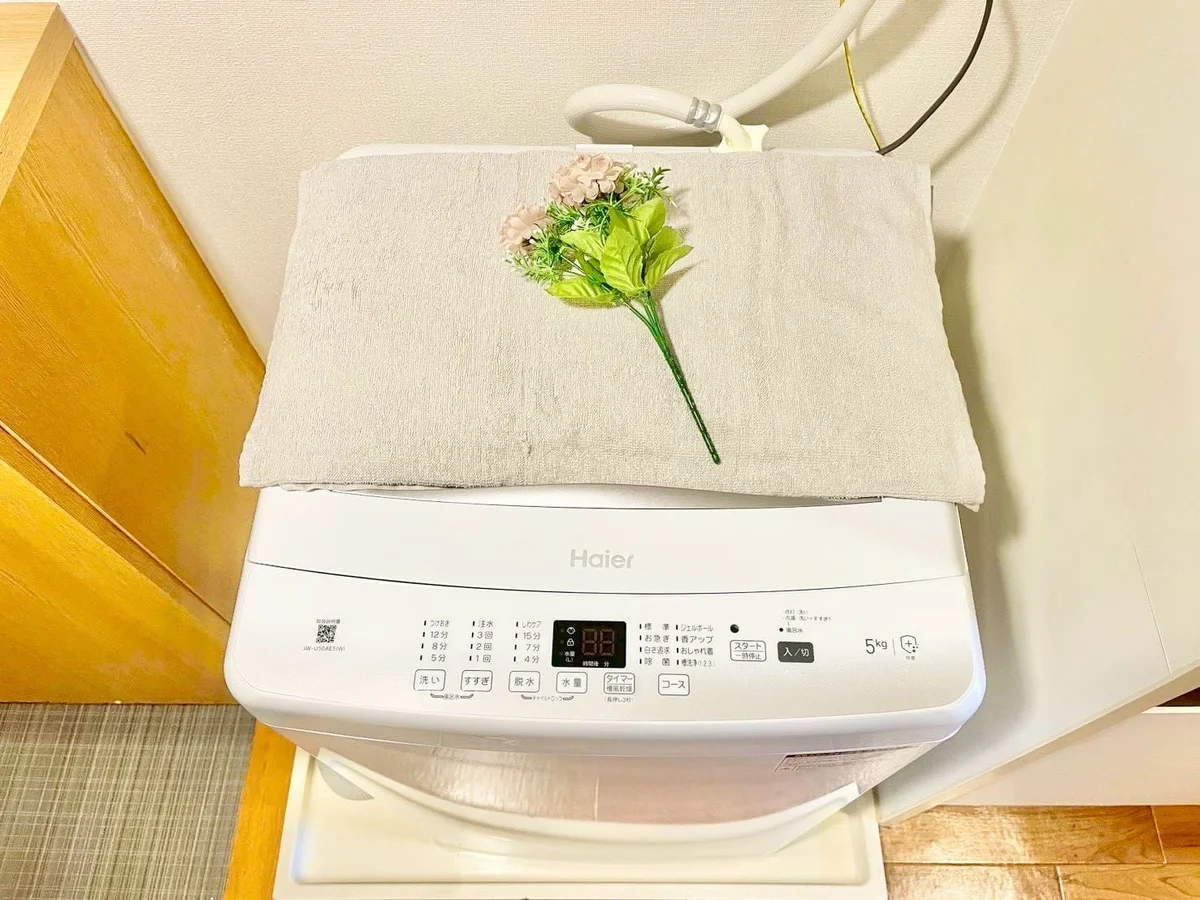 ※撮影用の観察植物・食器調理器具・雑貨類等はございません。※写真は現況優先