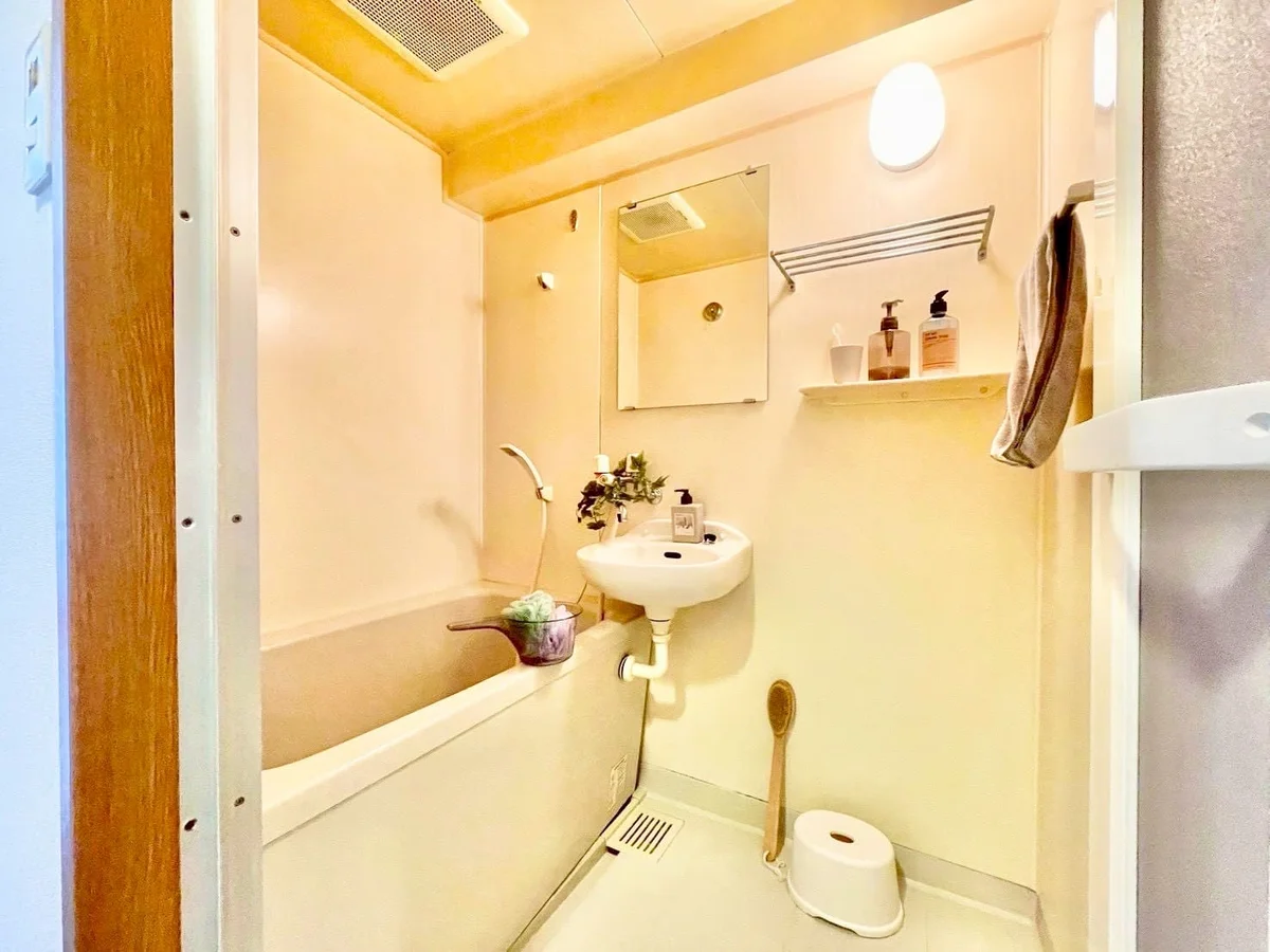 ※撮影用の観察植物・食器調理器具・雑貨類等はございません。※写真は現況優先
