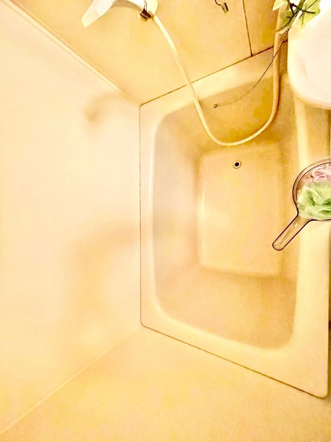 ※撮影用の観察植物・食器調理器具・雑貨類等はございません。※写真は現況優先