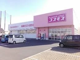 コスモス道徳橋店まで100m