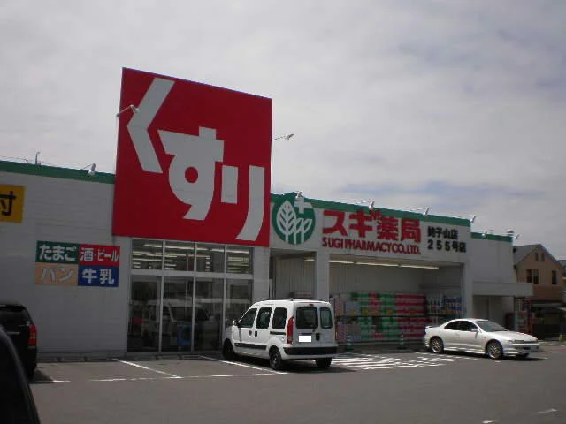 スギドラッグ姥子山店まで260m