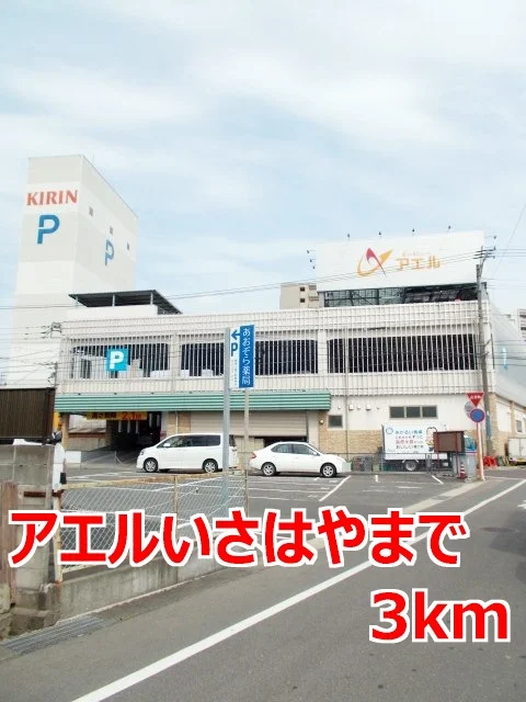 アエルいさはやまで3000m