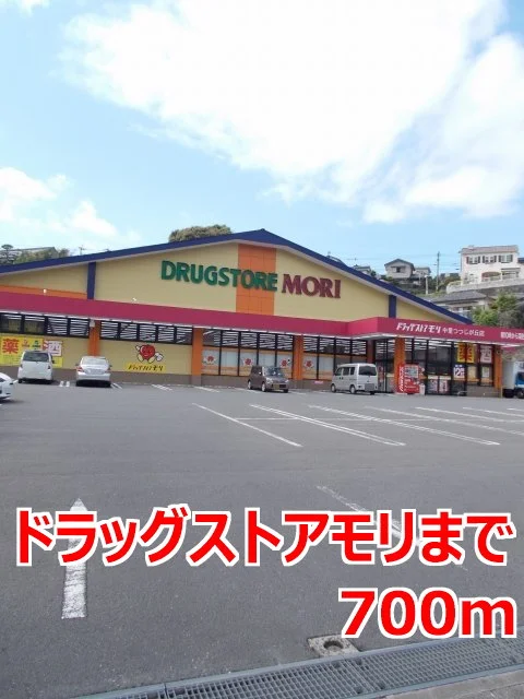 ドラッグストアモリまで700m