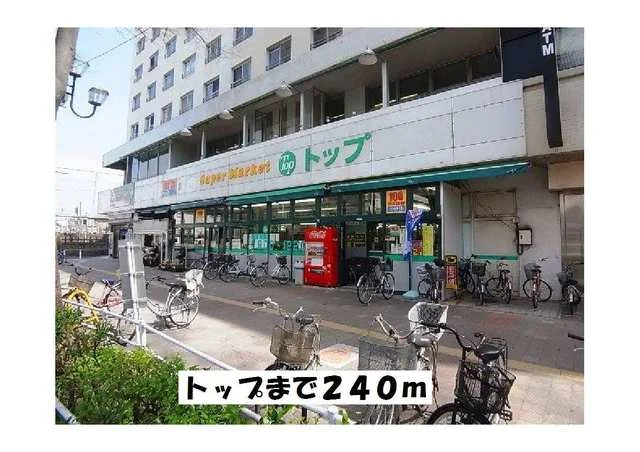 トップまで240m
