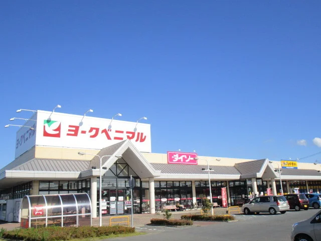 ヨークベニマル佐和店まで650m