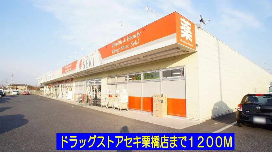 ドラッグストアセキ栗橋店まで1200m