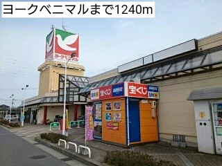 ヨークベニマルまで1240m