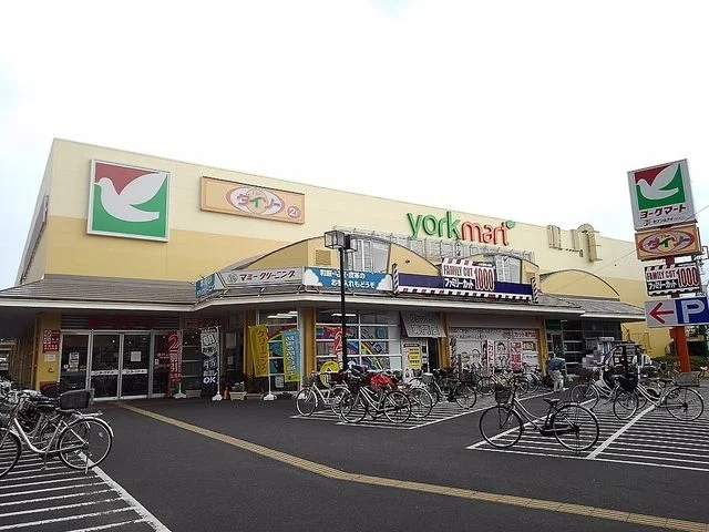 ヨークマート越谷赤山店まで300m