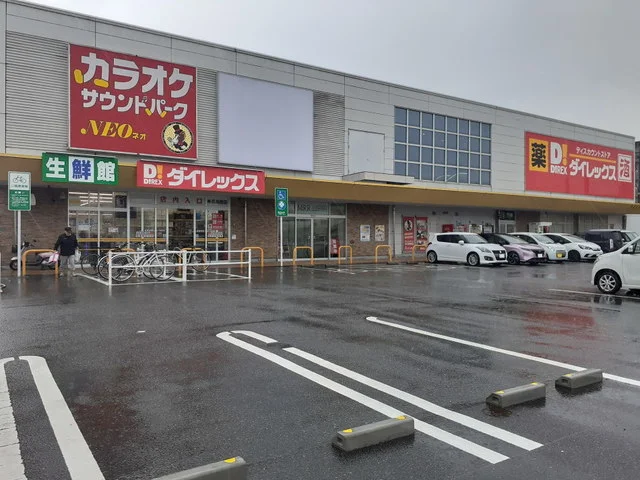 ダイレックス糸島高田店まで500m