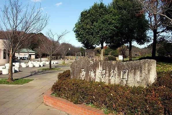 西城沼公園まで400m