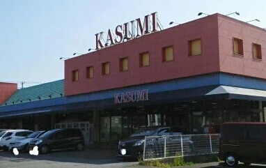 カスミ 三里塚店まで1100m