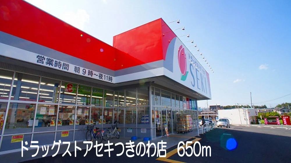 ドラッグストアセキつきのわ店まで650m