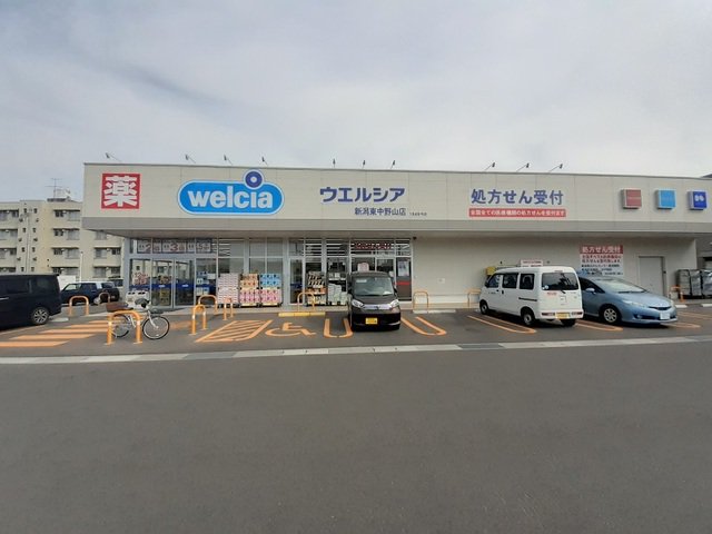 ウエルシア新潟東中野山店まで1100m