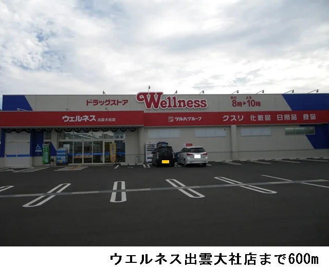 ウエルネス出雲大社店まで600m