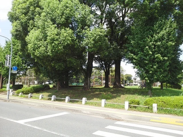 秋津中央公園まで800m