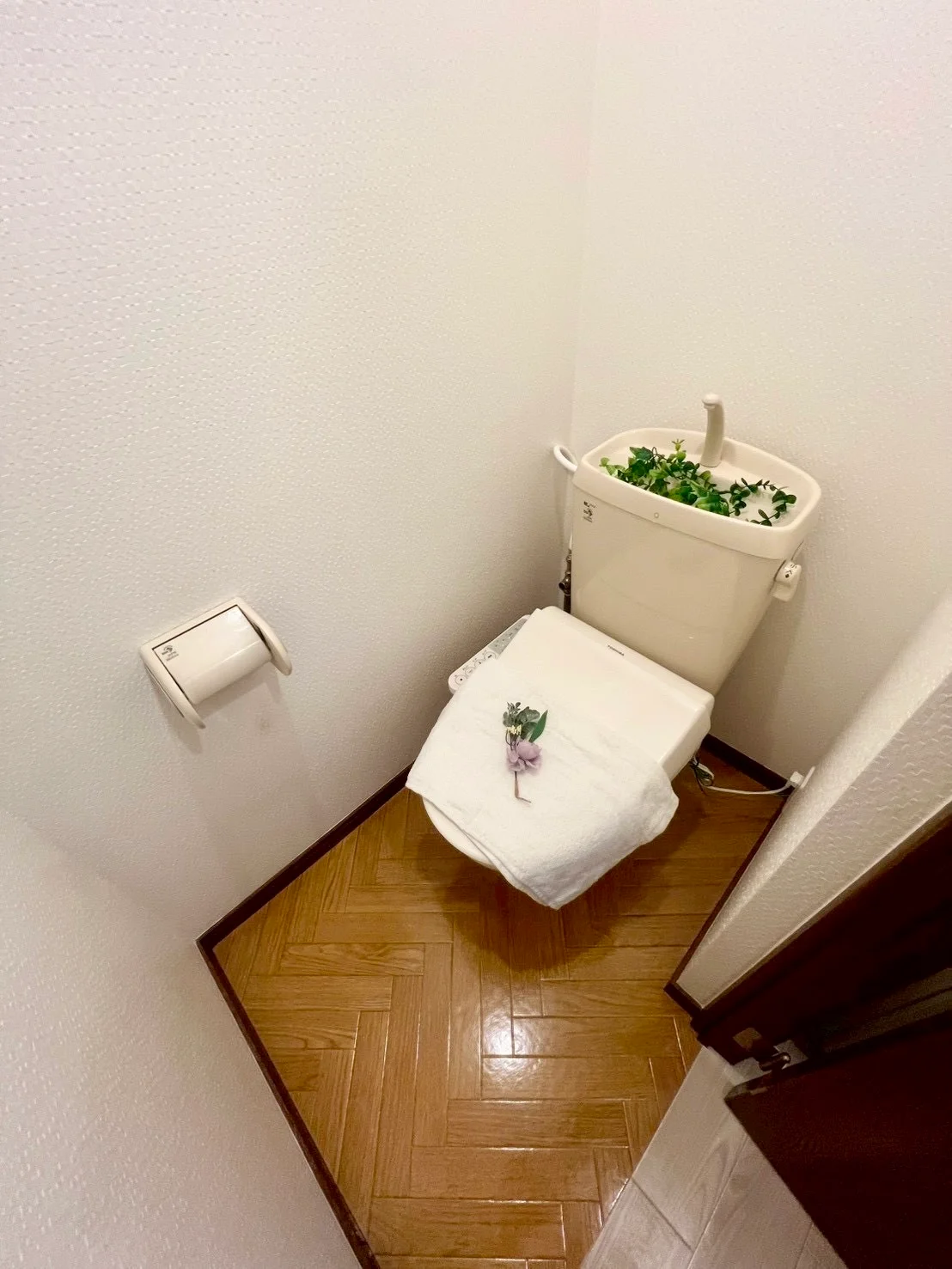 ※撮影用の観察植物・食器調理器具・雑貨類等はございません。※写真は現況優先
