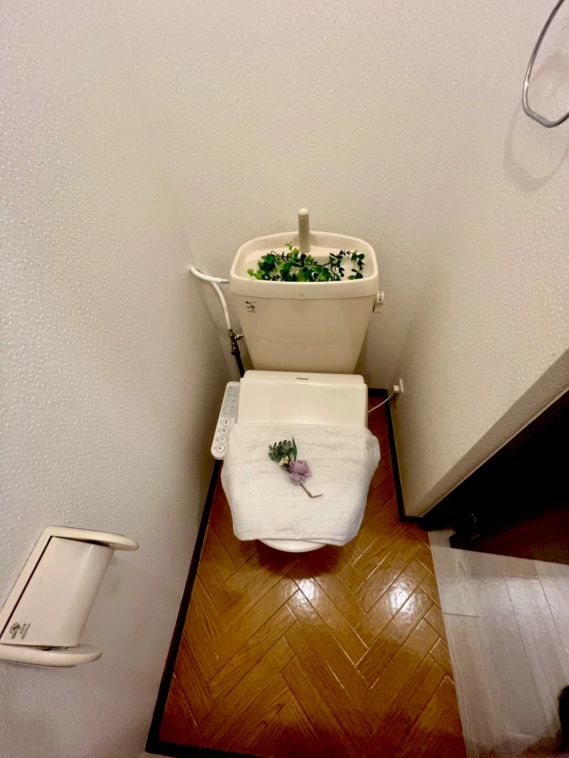 ※撮影用の観察植物・食器調理器具・雑貨類等はございません。※写真は現況優先