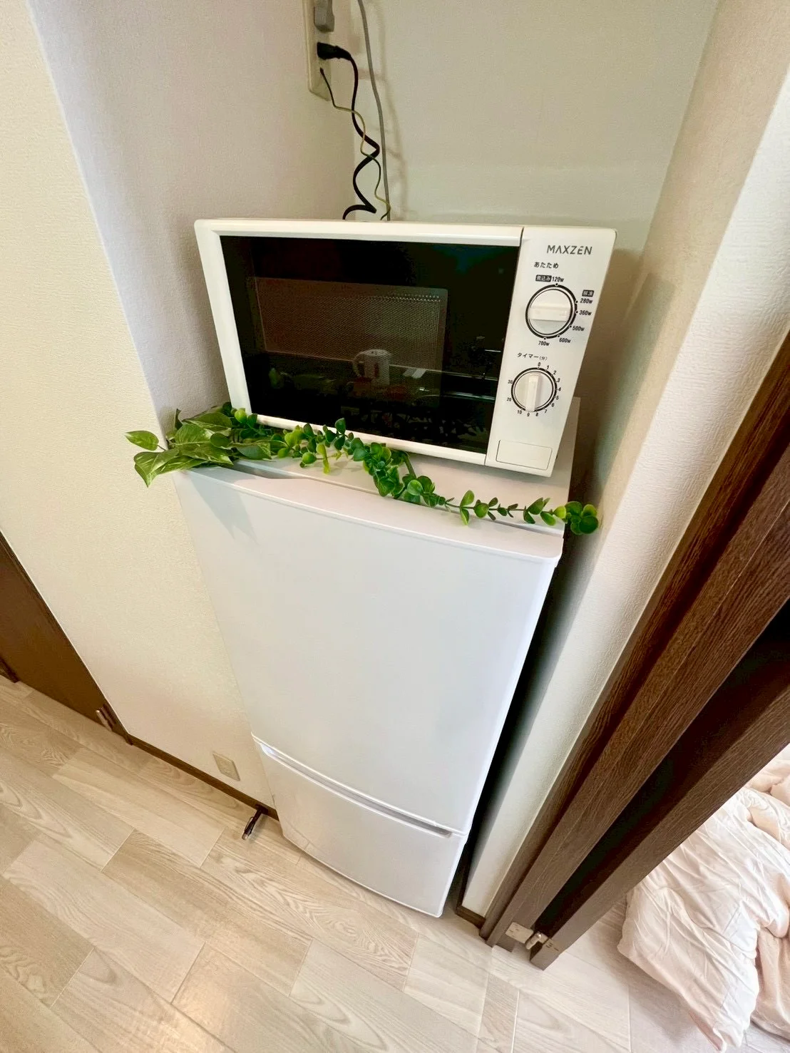※撮影用の観察植物・食器調理器具・雑貨類等はございません。※写真は現況優先