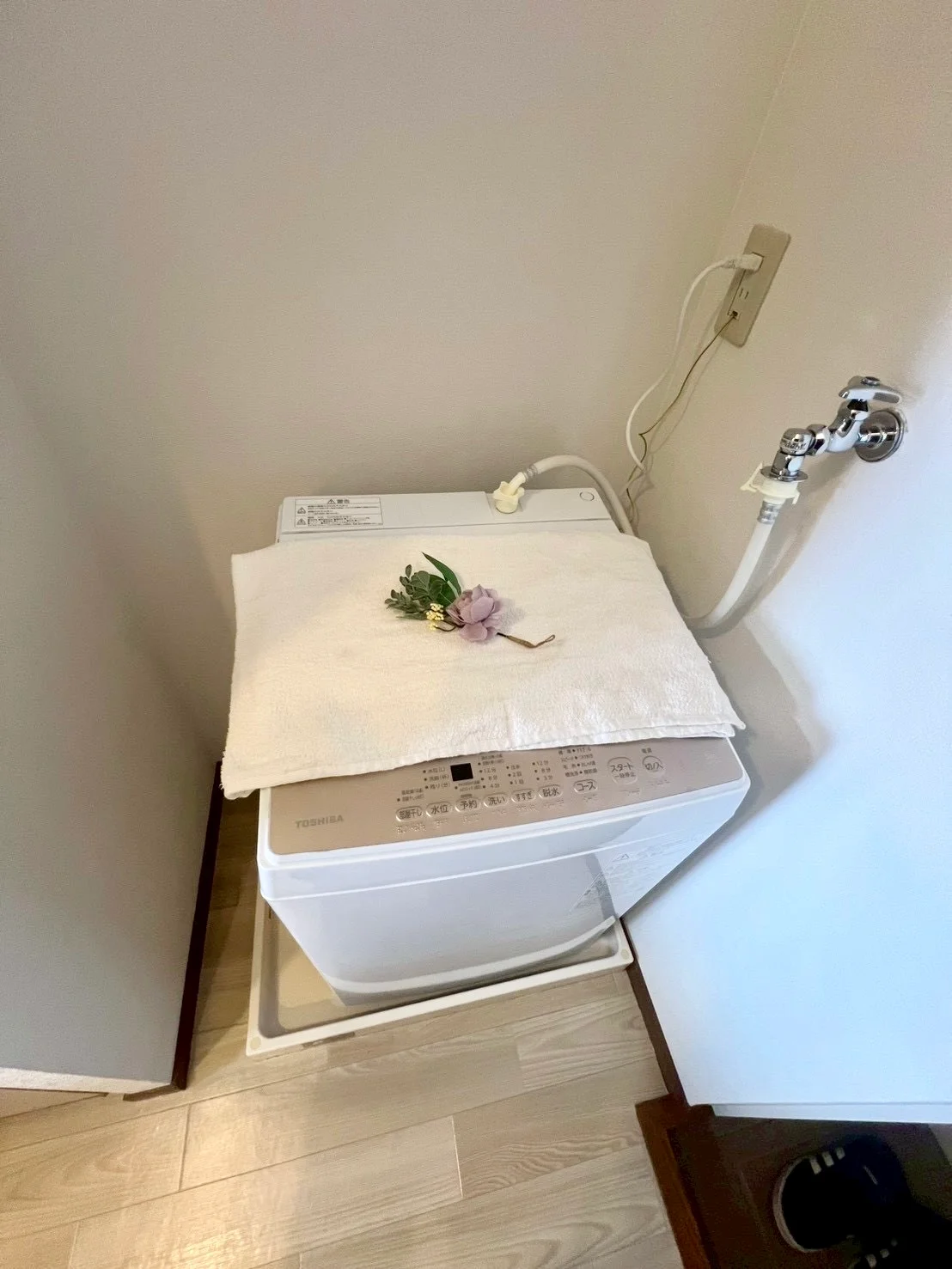 ※撮影用の観察植物・食器調理器具・雑貨類等はございません。※写真は現況優先