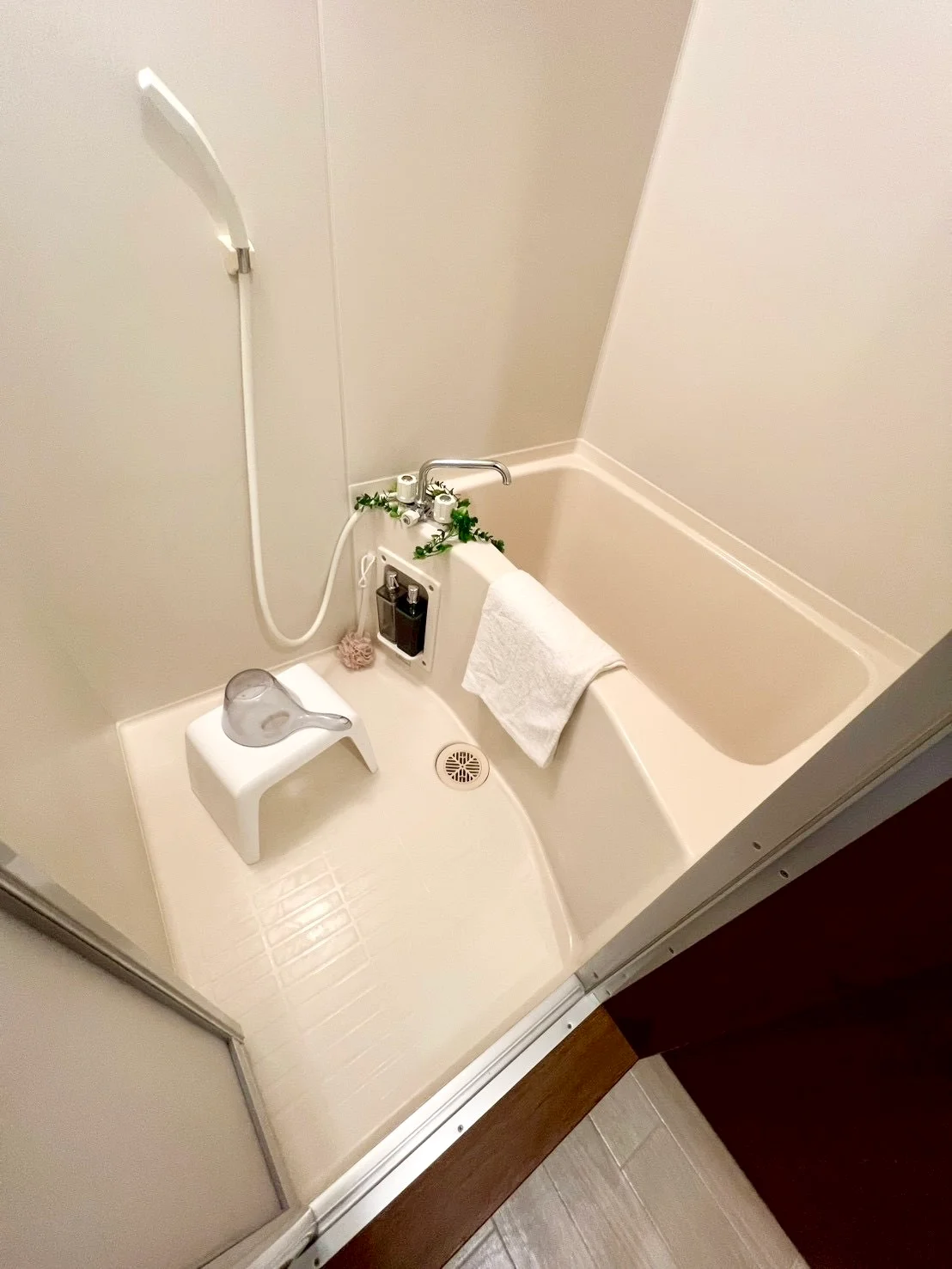 ※撮影用の観察植物・食器調理器具・雑貨類等はございません。※写真は現況優先
