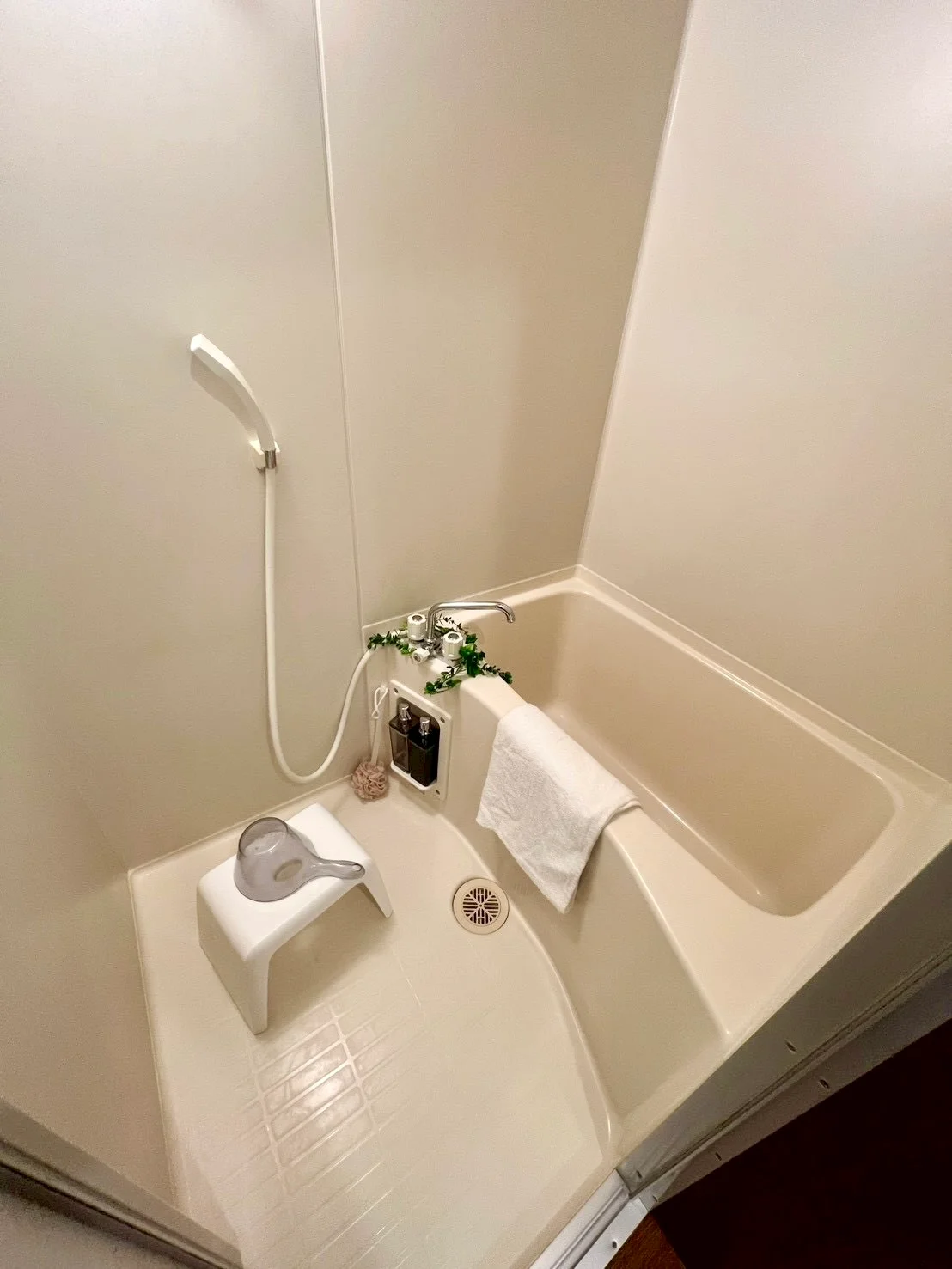 ※撮影用の観察植物・食器調理器具・雑貨類等はございません。※写真は現況優先