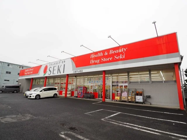 ドラッグストアセキ三郷戸ケ崎店まで1000m