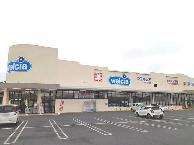ウエルシア茂原六ツ野店まで800m