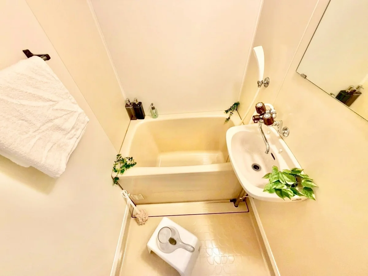 ※撮影用の観察植物・食器調理器具・雑貨類等はございません。※写真は現況優先