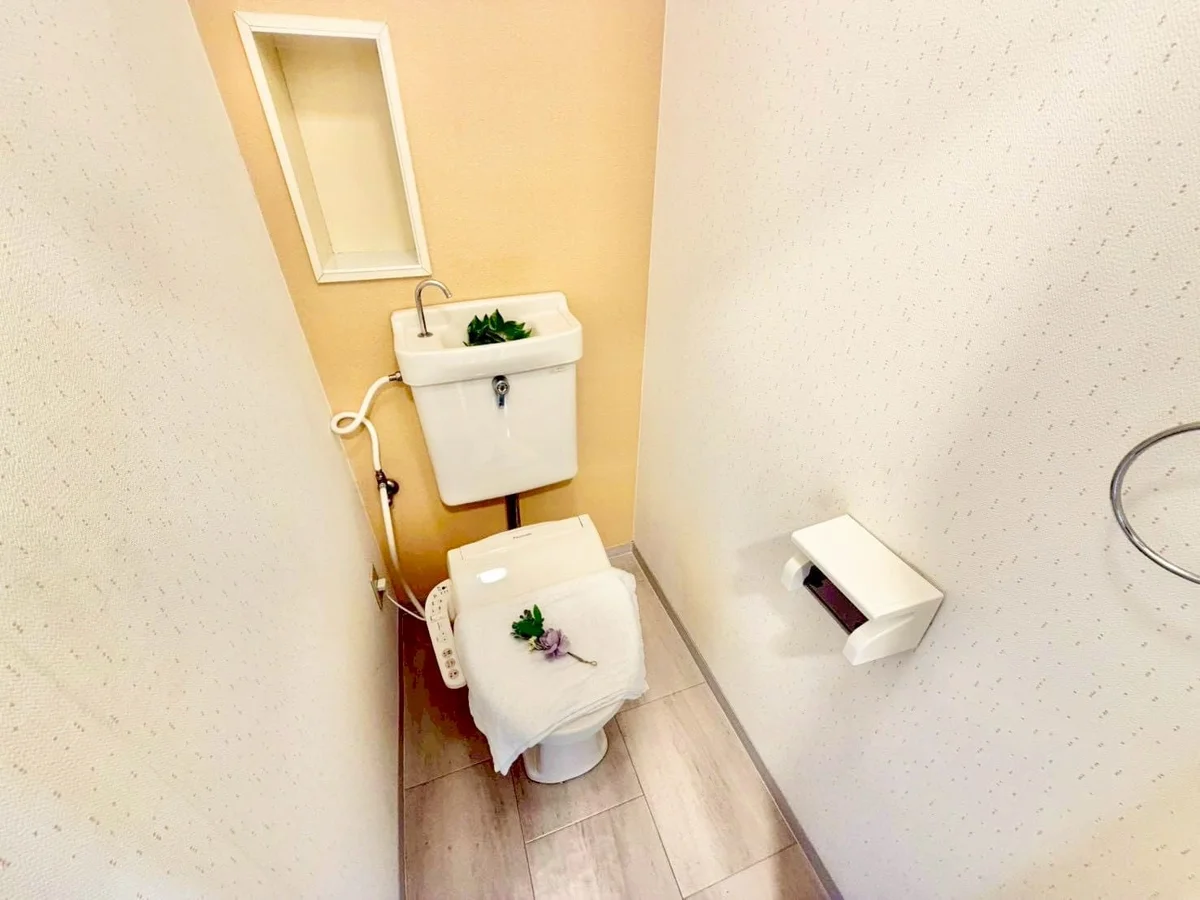 ※撮影用の観察植物・食器調理器具・雑貨類等はございません。※写真は現況優先