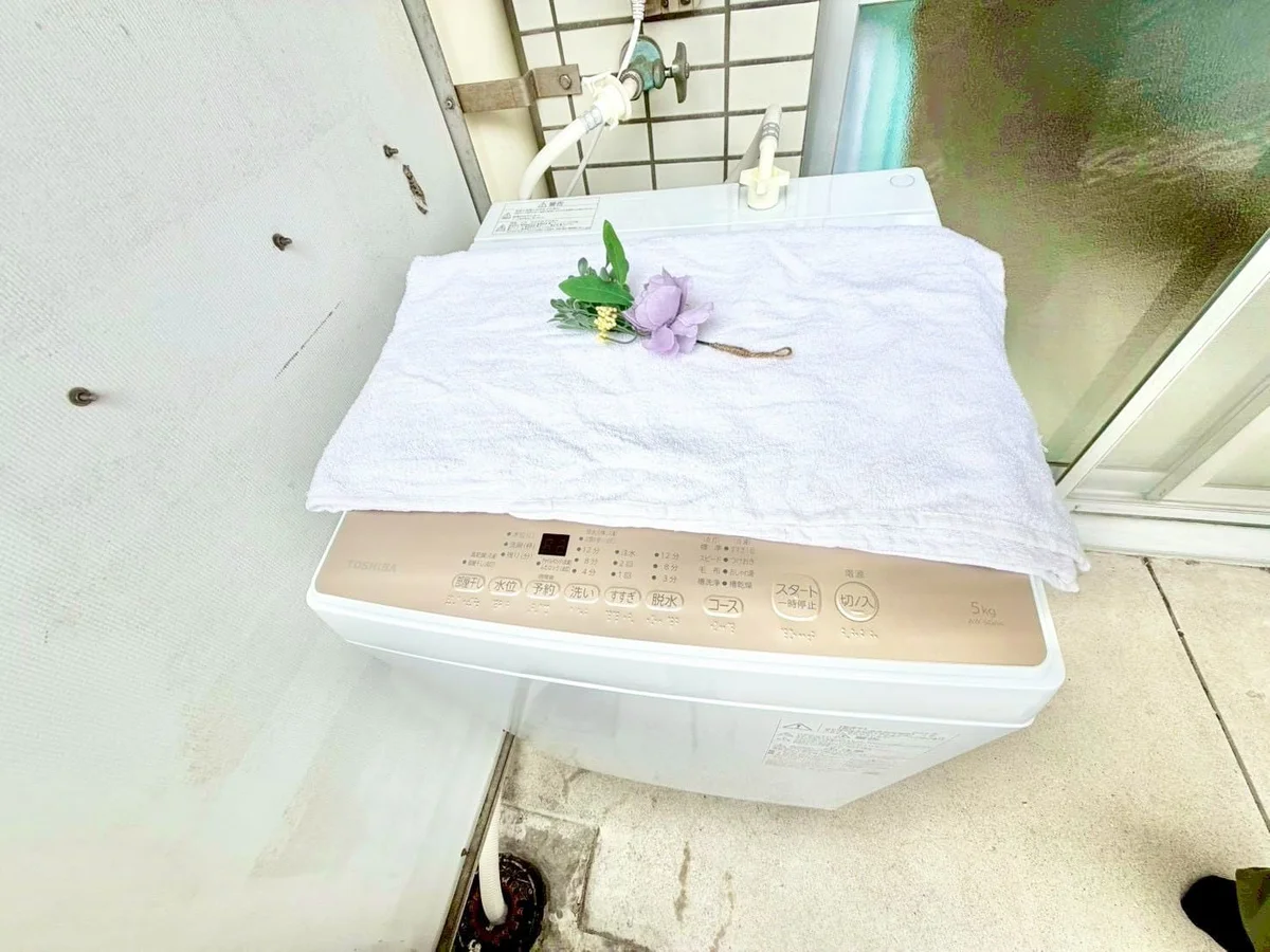 ※撮影用の観察植物・食器調理器具・雑貨類等はございません。※写真は現況優先