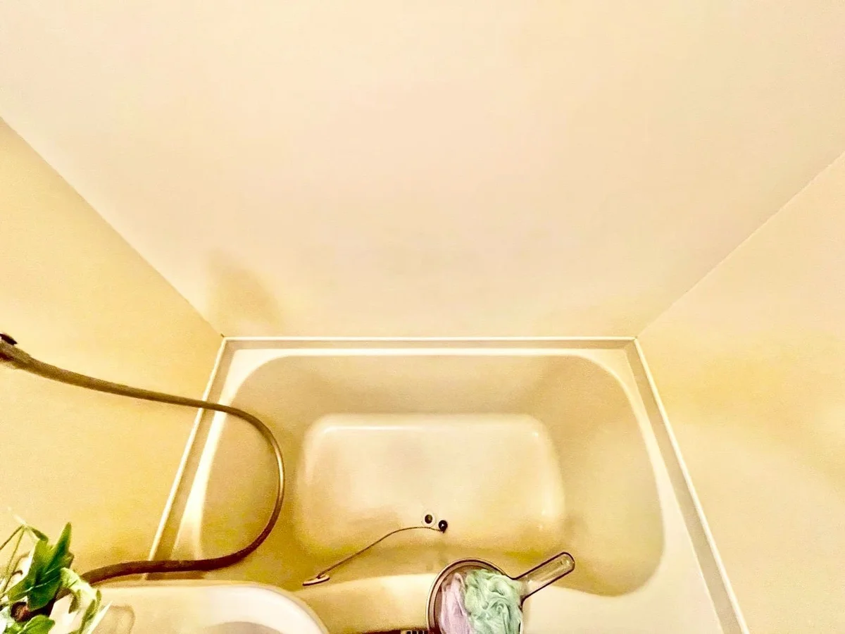 ※撮影用の観察植物・食器調理器具・雑貨類等はございません。※写真は現況優先