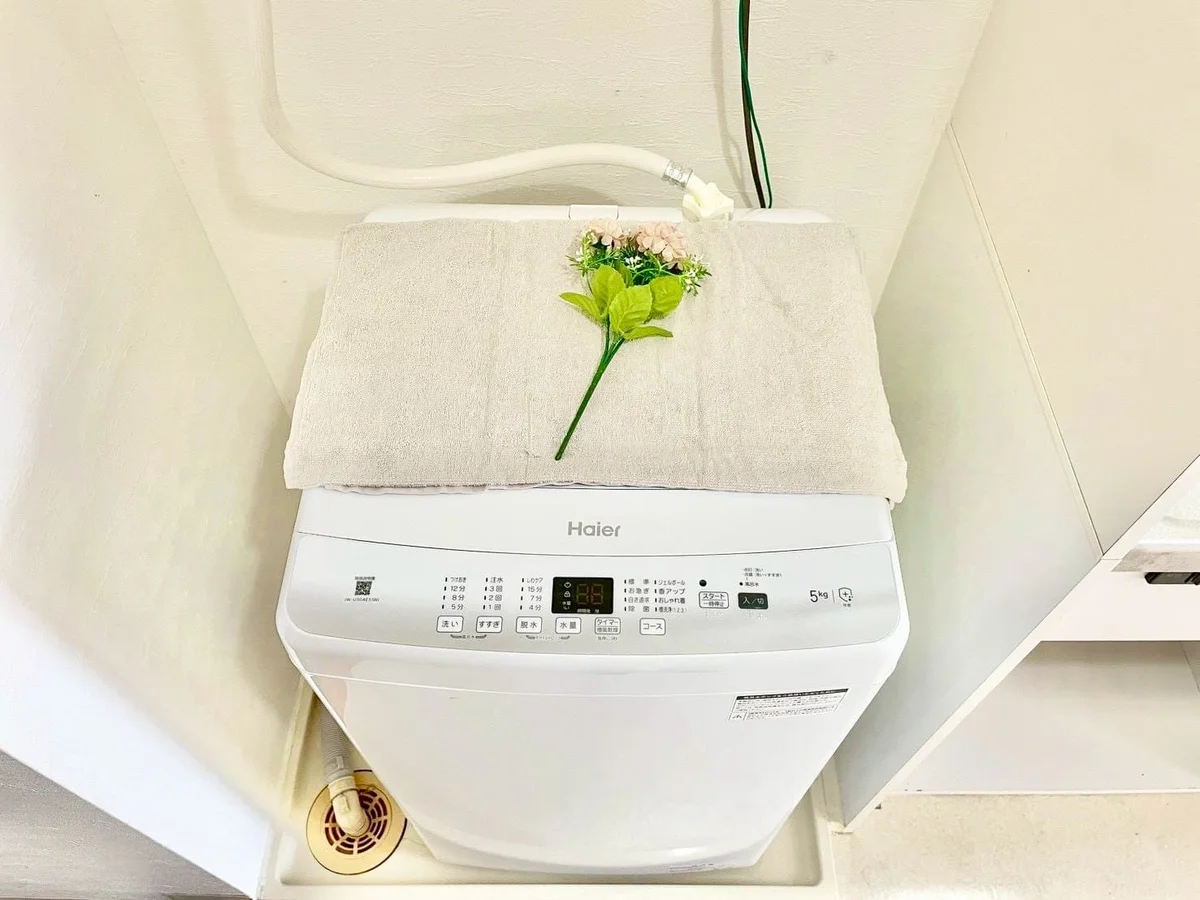 ※撮影用の観察植物・食器調理器具・雑貨類等はございません。※写真は現況優先