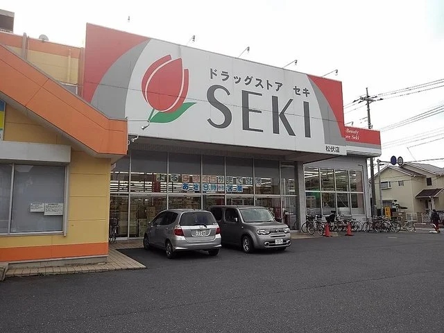 ドラッグストアセキ松伏店まで750m