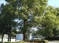 舟地蔵公園まで1800m