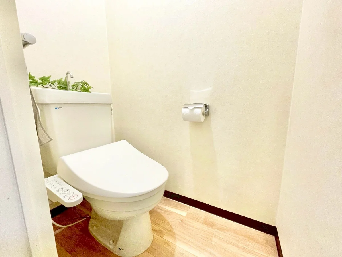 ※撮影用の観察植物・食器調理器具・雑貨類等はございません。※写真は現況優先