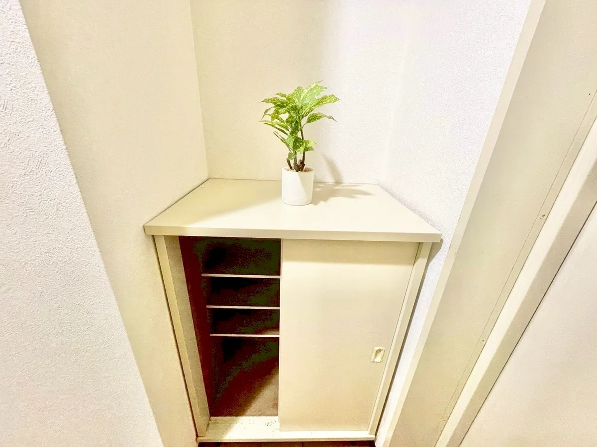 ※撮影用の観察植物・食器調理器具・雑貨類等はございません。※写真は現況優先