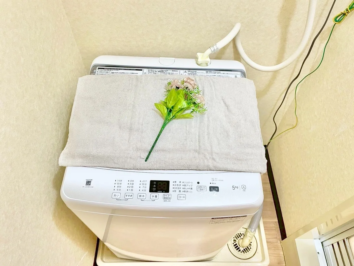 ※撮影用の観察植物・食器調理器具・雑貨類等はございません。※写真は現況優先