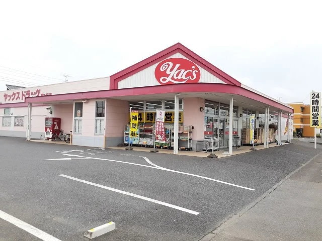 ヤックスドラッグ竜ヶ崎藤ヶ丘店まで500m