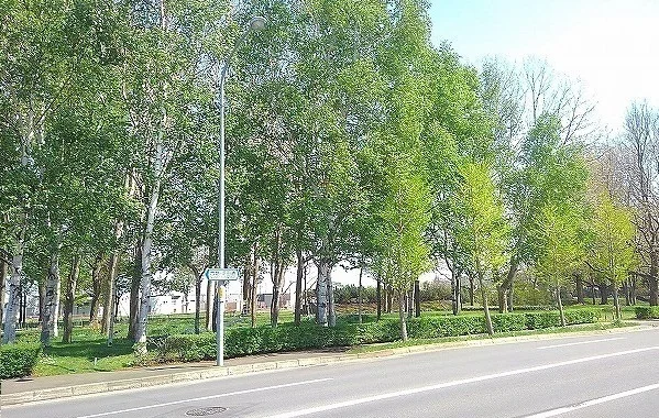 屯田西公園まで200m