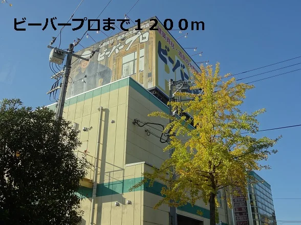 ビーバープロまで1200m