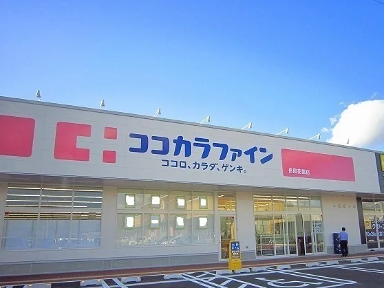 ココカラファインまで750m