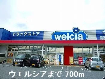 ウェルシアまで700m