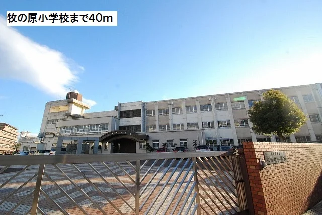 牧の原小学校まで40m
