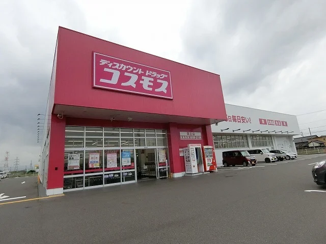 コスモス 真正店まで1400m