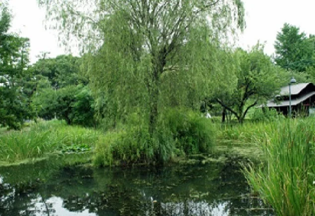 新川丸池公園まで170m