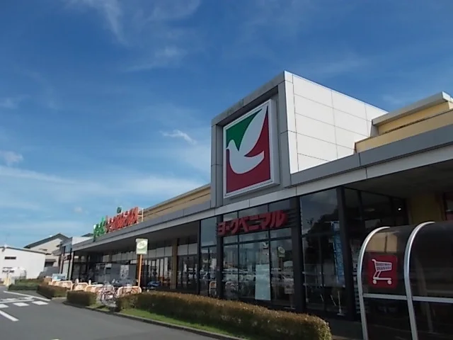 ヨークベニマル　浜田店まで800m