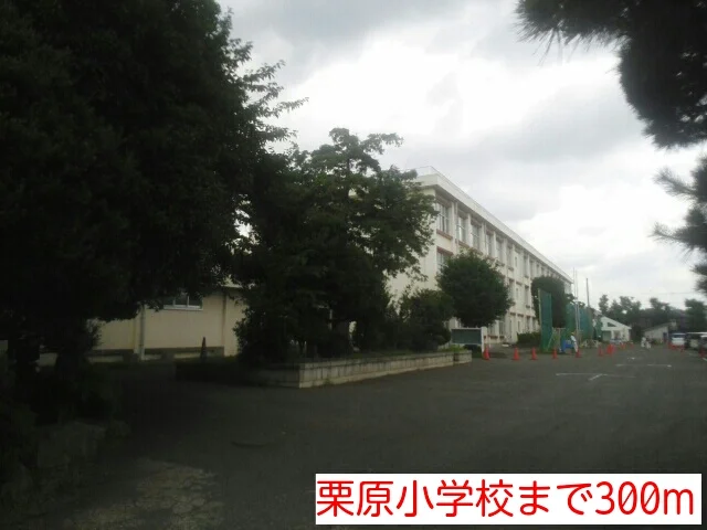 栗原小学校まで300m