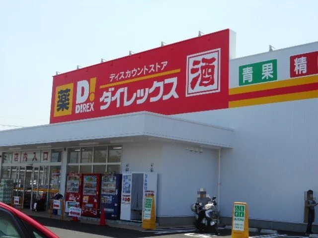 ダイレックス川下店まで1100m